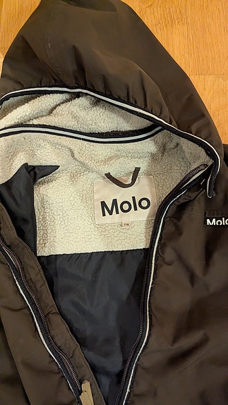 Molo talvitakki