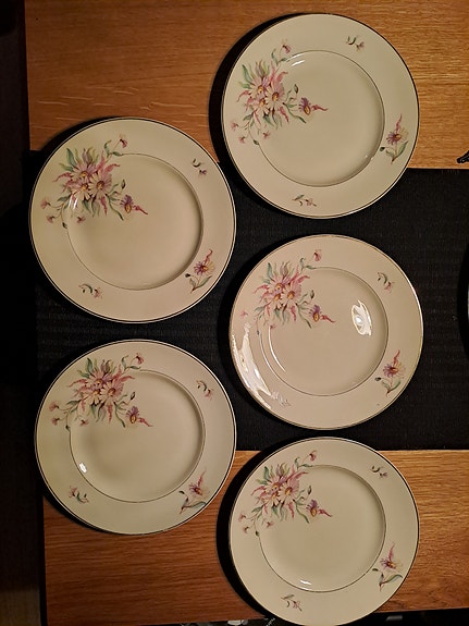 Arabia Maire ruokalautanen 23,5 cm 5 kpl