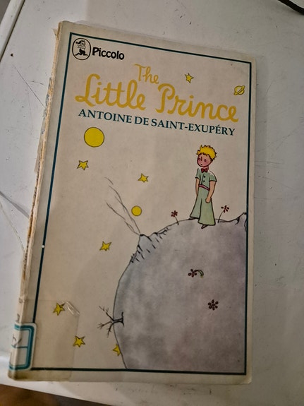The little prince kirja