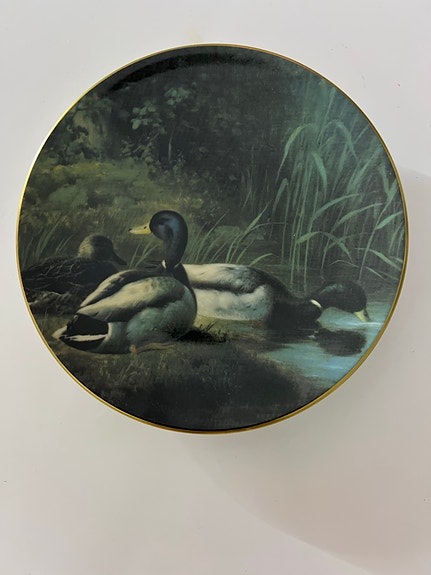 Arabian von Wright seinälautanen