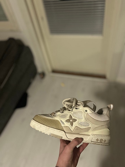 Luis vuitton skate