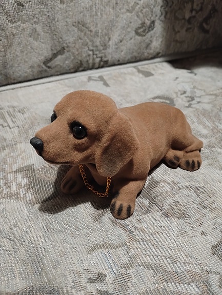Koira