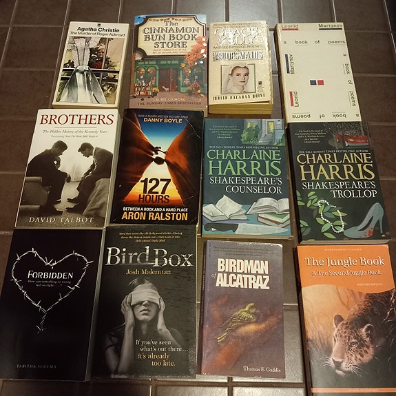 Fiction Books in English