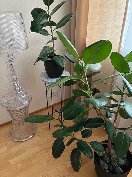 Upea korkea marmorijalusta kukkapylväs