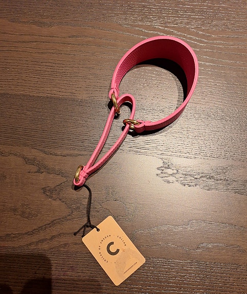Collar of sweden puolikiristävä panta, koko M
