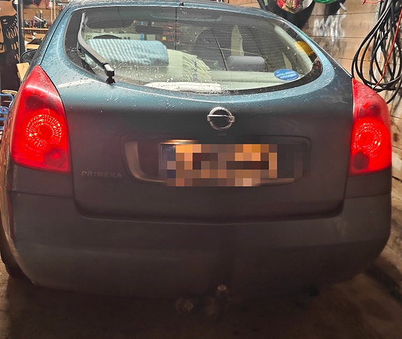 Osina primera p12