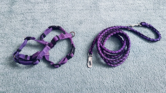 Liila-musta paracord-hihna