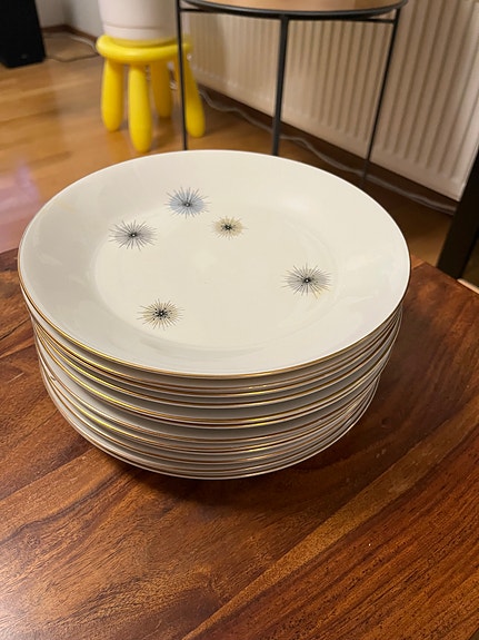 Arabia Jupiter ruokalautaset 12 kpl