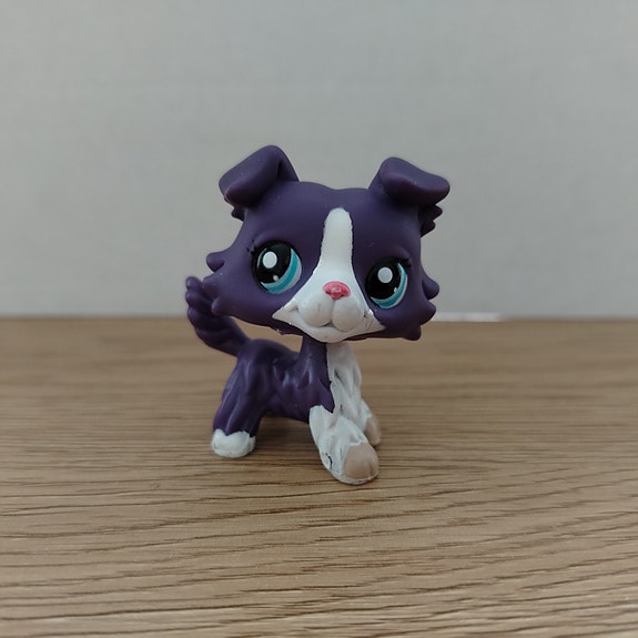 LPS Violetti Collie #1676