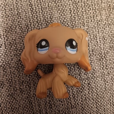 Lps cockerspanieli aito