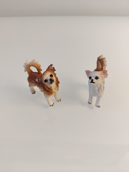 Schleich koira 8/kpl, chihuahua