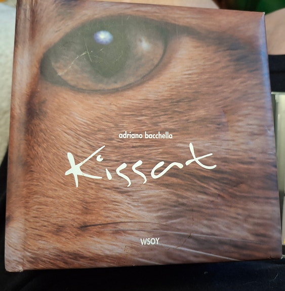 Kissa kirja