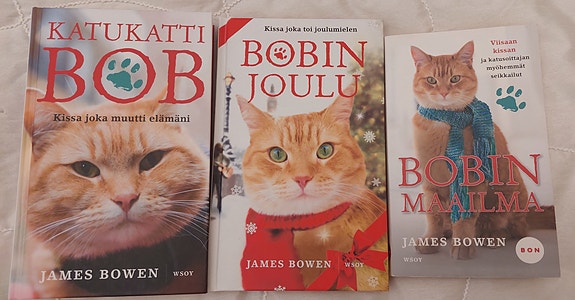 Katukatti Bob, Bobin maailma ja Bobin joulu
