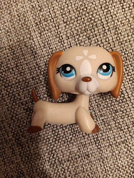 Lps mäyräkoira Aito