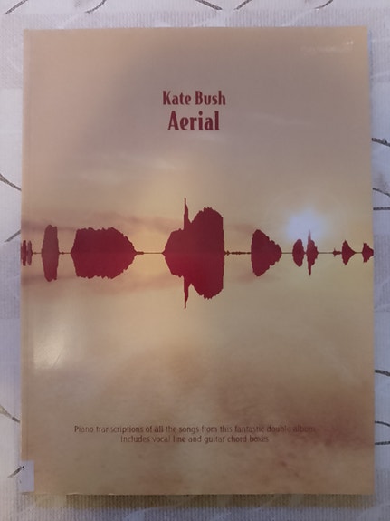 Kate Bush, Aerial