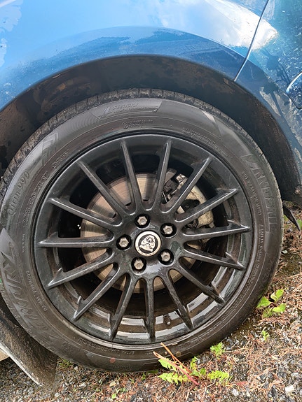 Jaguar vanteet