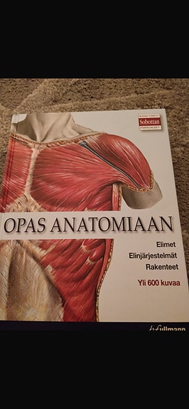 Opas anatomiaan
