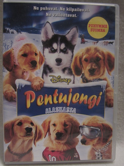 Pentujengi Alaskassa dvd