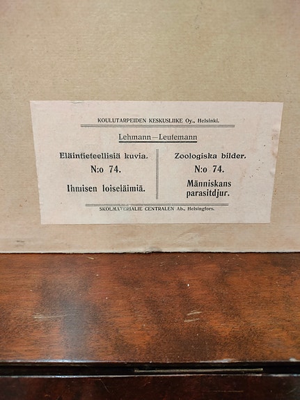 Product image 3 of 8