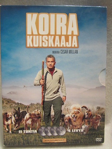 Koirakuiskaaja dvd