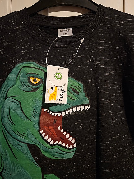 Dinosaurus college UUSI 128