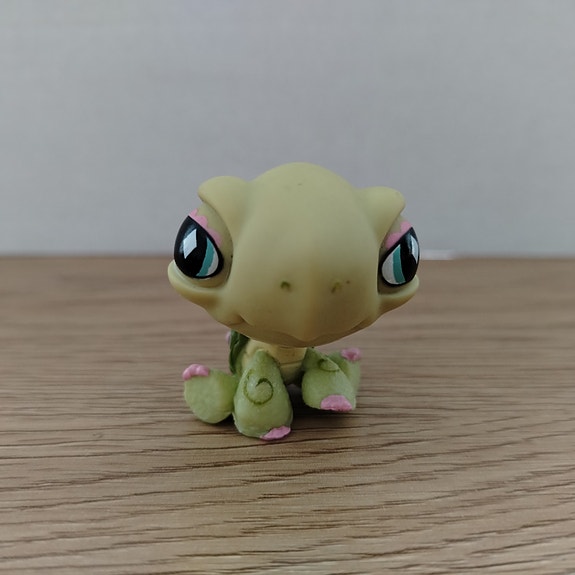 Kilpikonna LPS#504