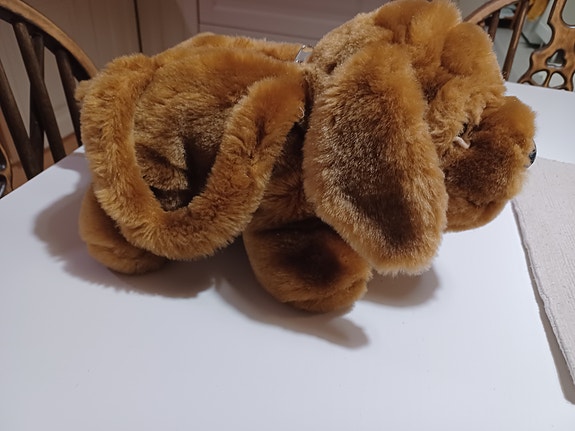 Pehmolelu koira kassi