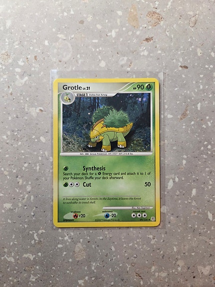 Grotle Lv. 21 - Pokemon, Diamond & Pearl