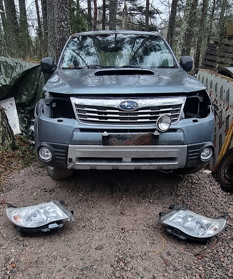 Subaru forester osina