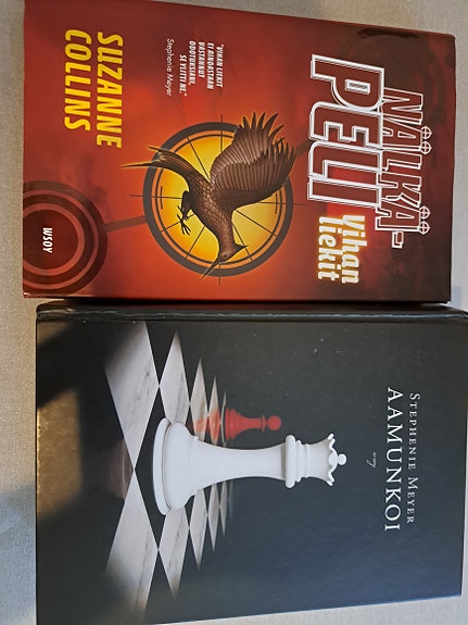 Nälkäpeli Vihan liekit,Aamunkoi