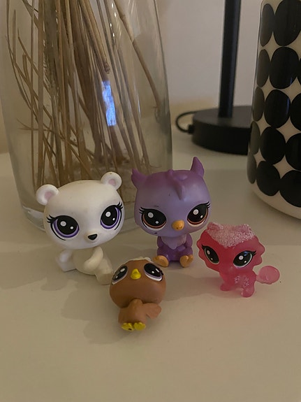 Petshopit