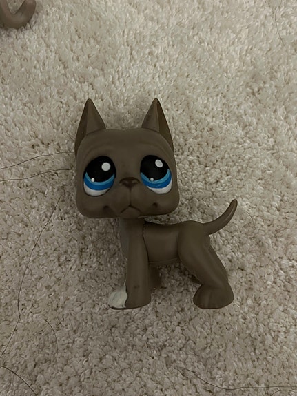 Littlest Pet Shop tanskandoggi