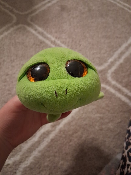 Ty pehmolelu kilpikonna