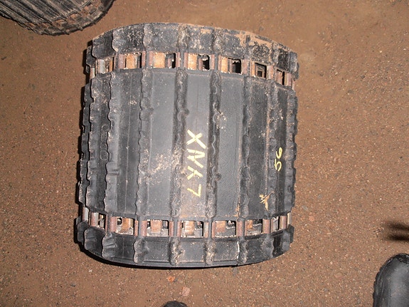Lynx telamatto