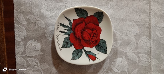 Arabia Rosa Baccara seinälautanen