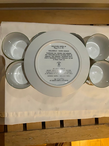 Product image 6 of 9