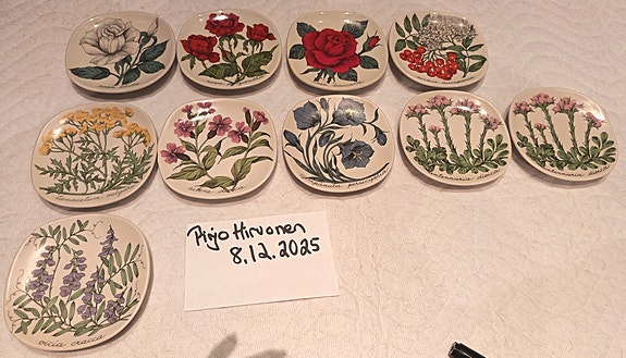Esteri Tomula seinälautaset. Botanica