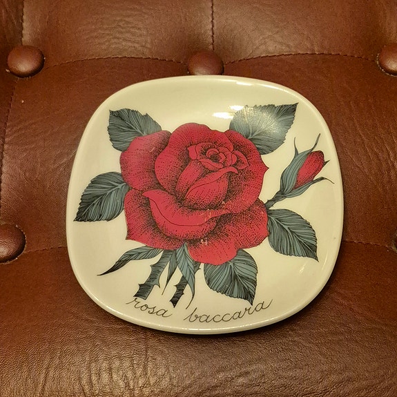 Arabia seinälautanen Rosa Baccara