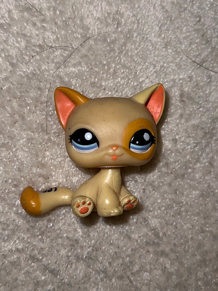 Littlest Pet Shop kissa