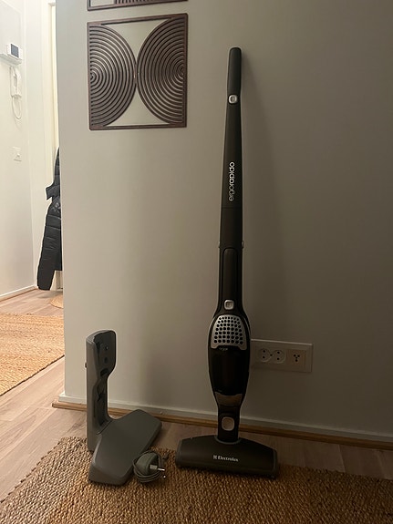 electrolux ergorapido -varsi-imuri