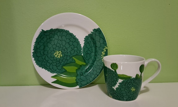 Primavera muki ja lautanen 💚