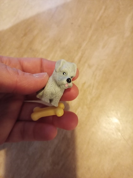 Barbie koira ja luu