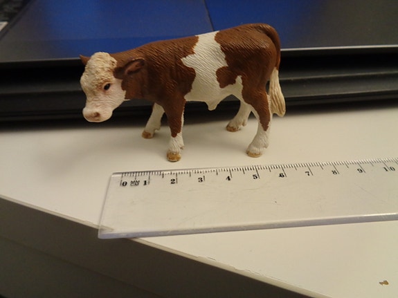 Schleich Vasikka