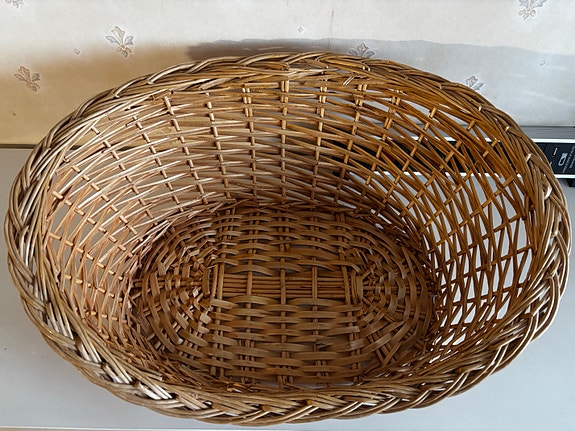 Kissan / koiran pieni pieni