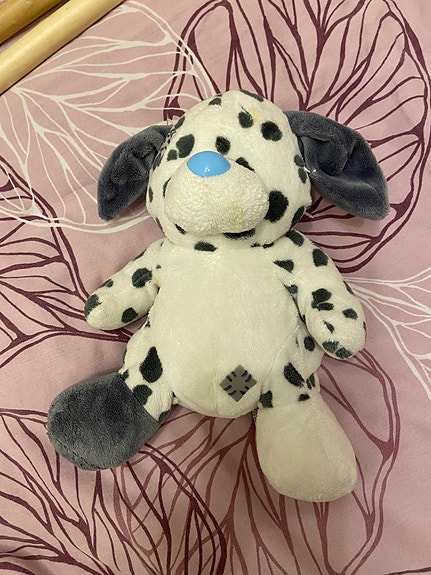 Koira pehmo lelu Blue nose