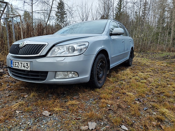 Skoda Octavia osina