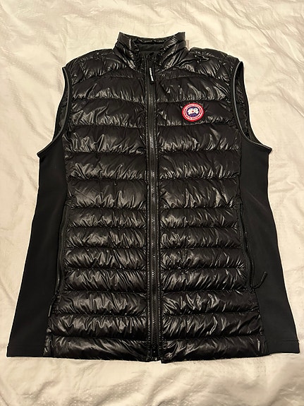 Canada Goose