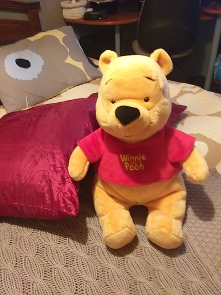 Nalle puh, uusi