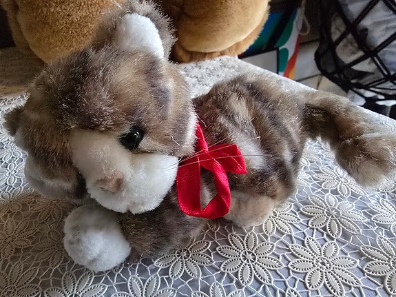 Kissa pehmolelu