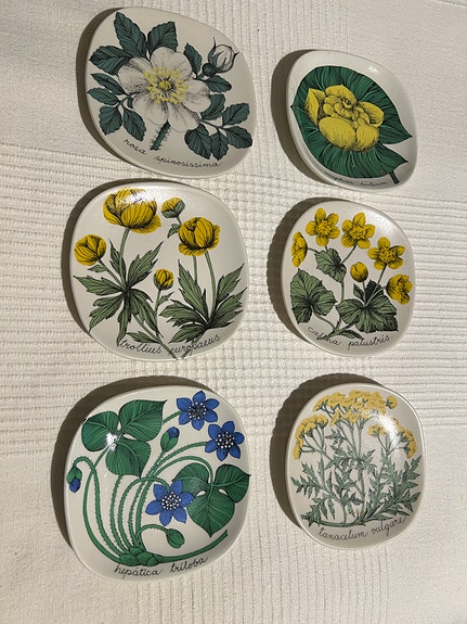 Esteri Tomula seinälautasia